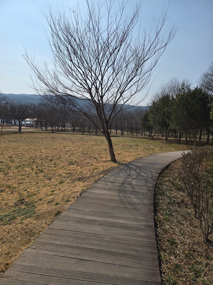  경주 걷기 좋은곳 추천, 경북 천년 숲 정원 산책후기 (feat. 입구고양이)