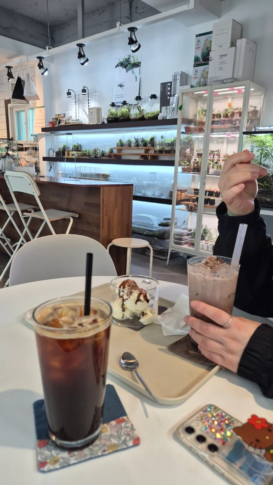 텀브가든 사진 2