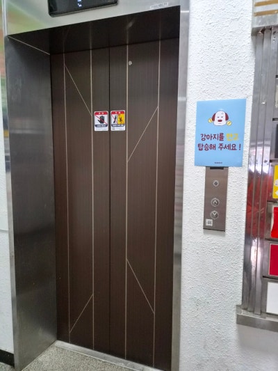 사진 2