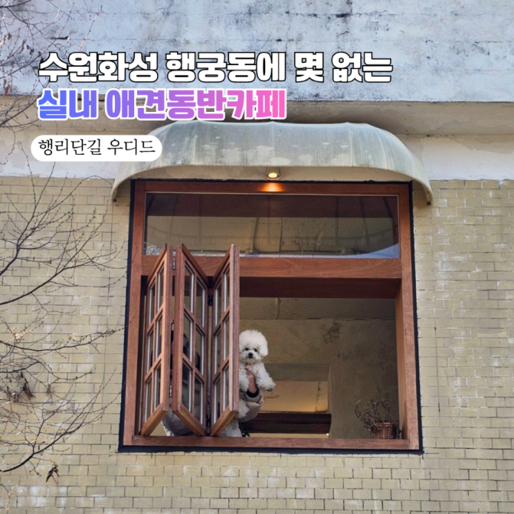  [수원 행궁동 카페] 댕댕이와 한옥뷰 데이트! 실내 애견동반 가능한 '우디드' ️
