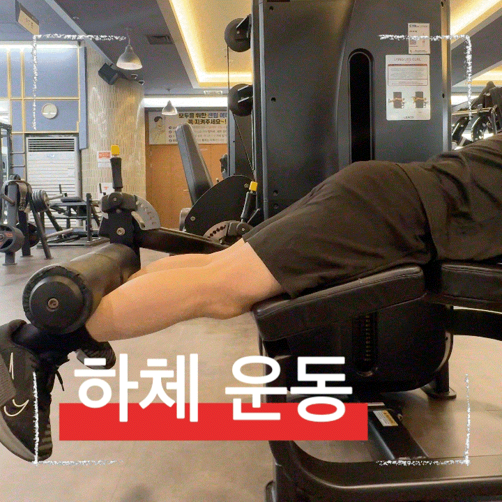  하체운동 레그컬 하는방법과 햄스트링강화시 주의해야할 포인트