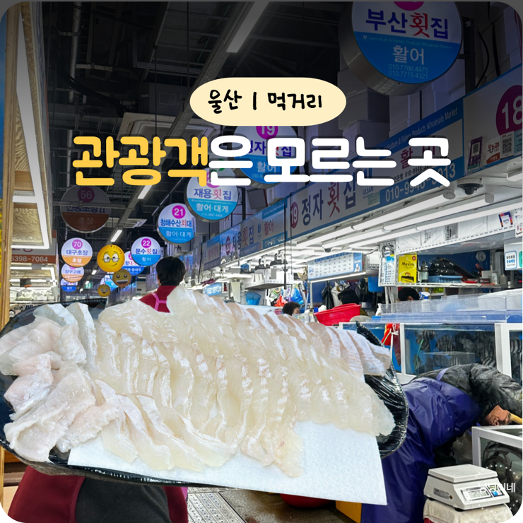 관광객은 잘 모르는 울산 삼산동 회 맛집 농수산물 도매시장 회센터