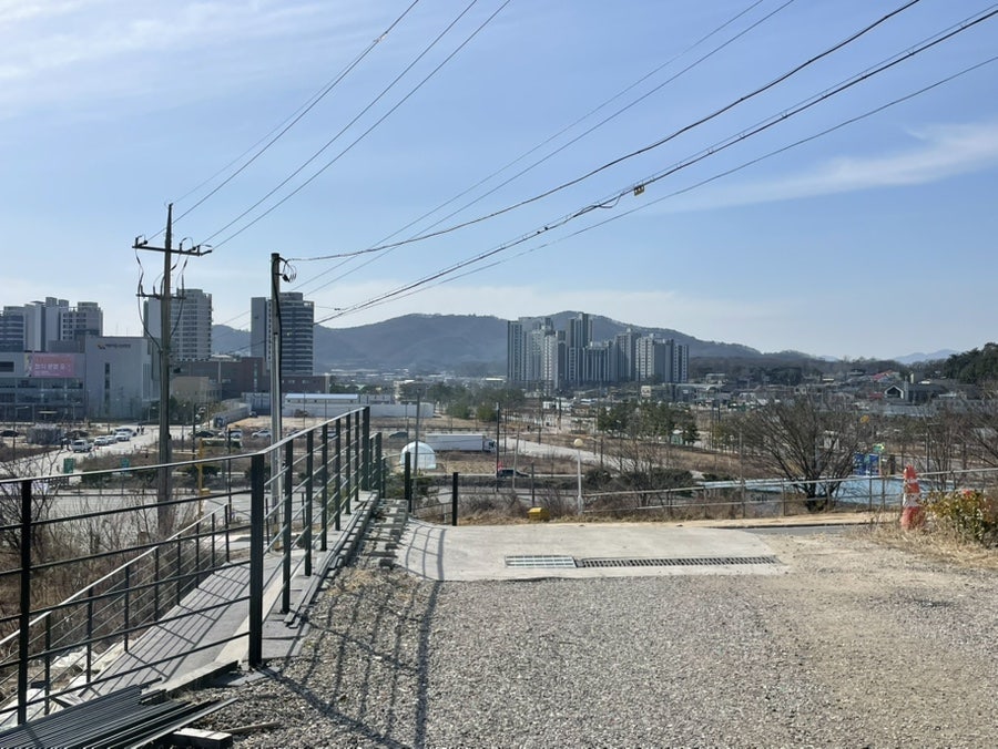 네일은 사진 3