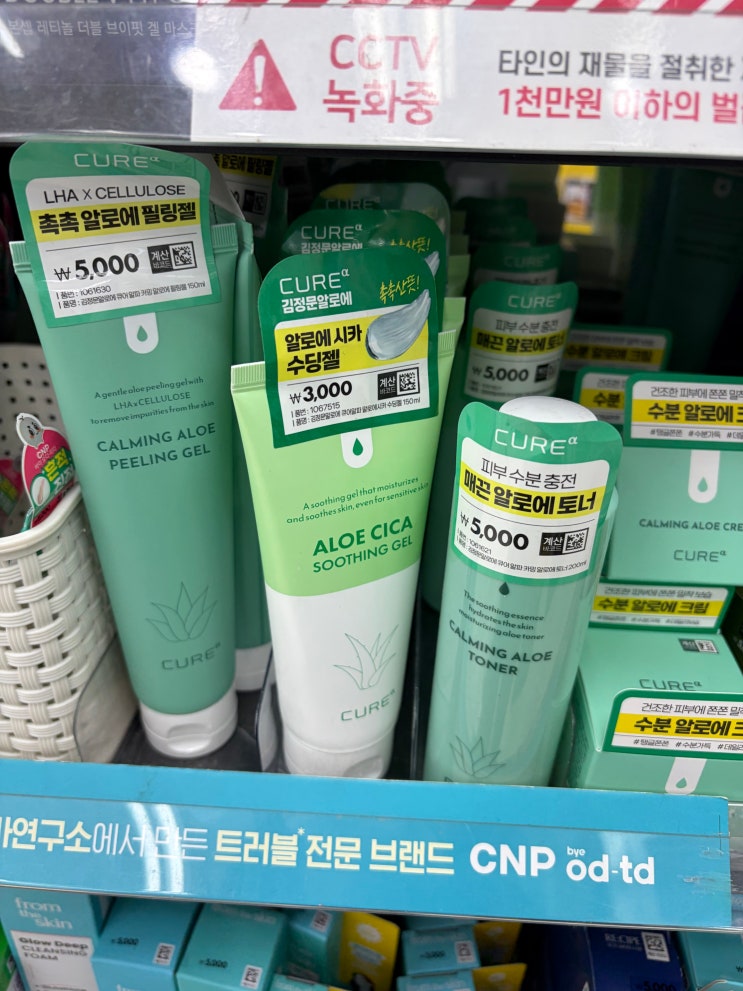  단돈 3천원! 온 가족 필수템 '큐어 알로에 시카 수딩젤' 내돈내산 찐후기 