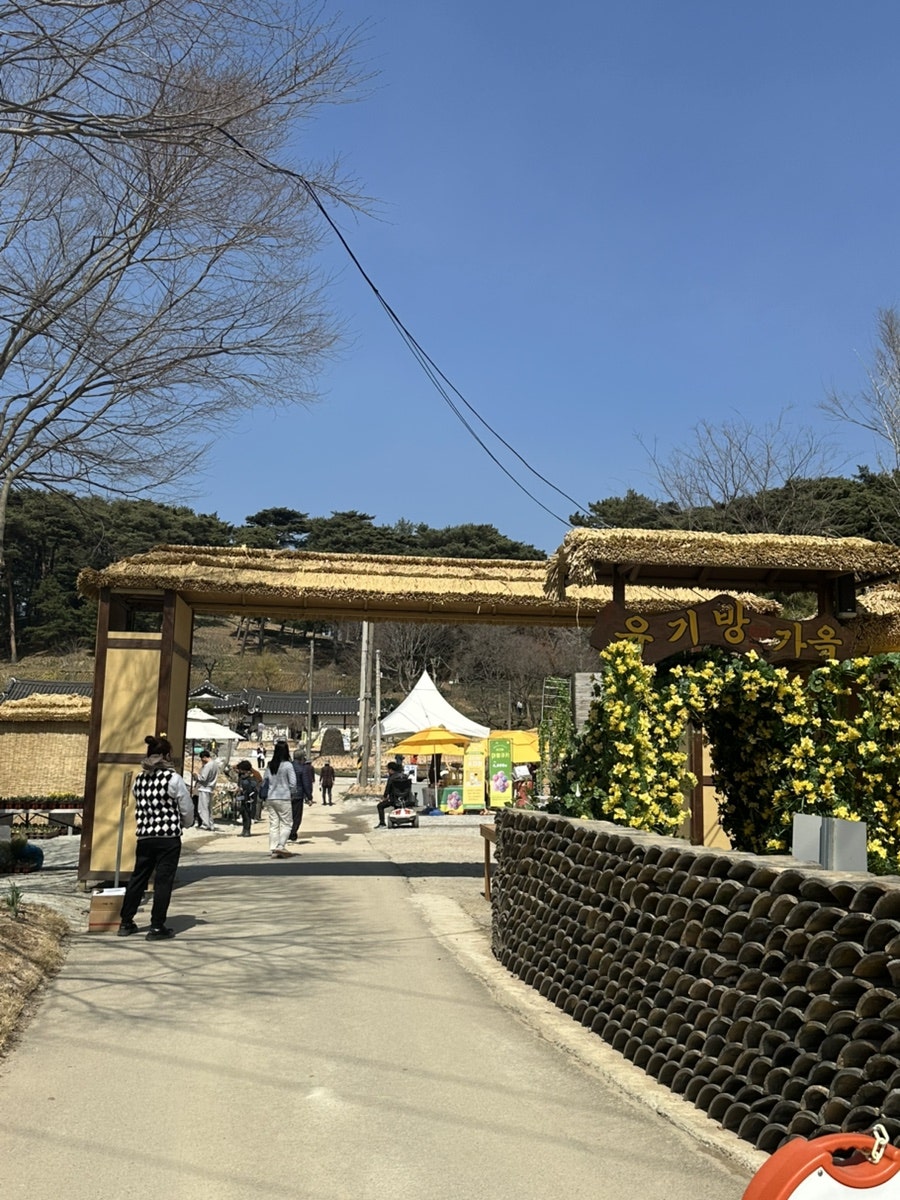 고향생각 사진 6
