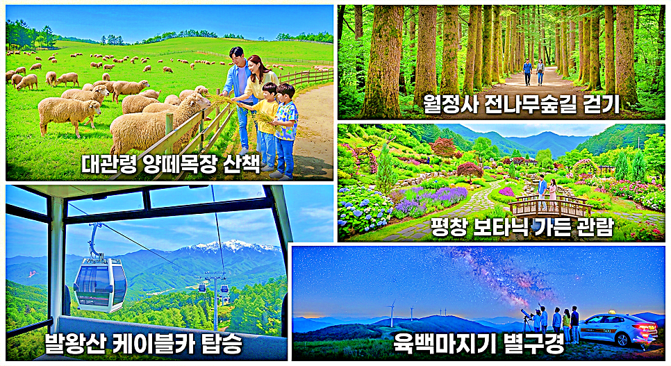 88포장마차 사진 5