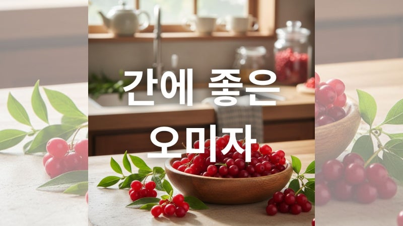 오미자 효능과 부작용 및 올바른 섭취 방법 완벽 정리