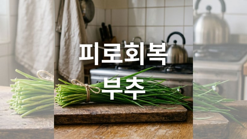 부추 효능과 고르는 법 및 신선하게 보관하는 방법 총정리