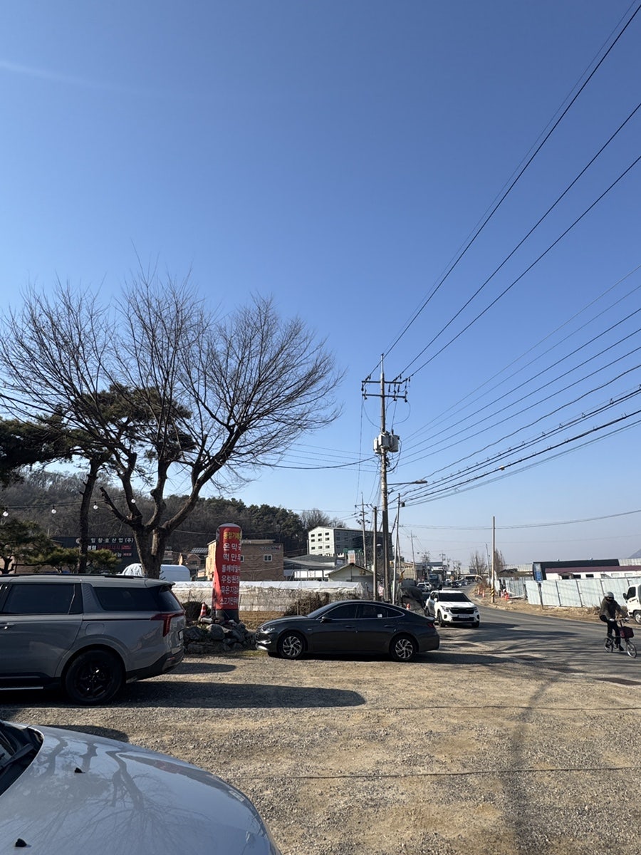 대궐봉평메밀막국수 사진 4