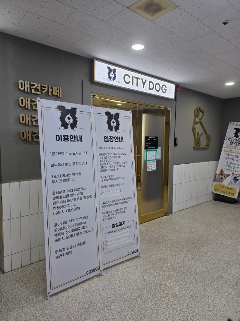 사진 6