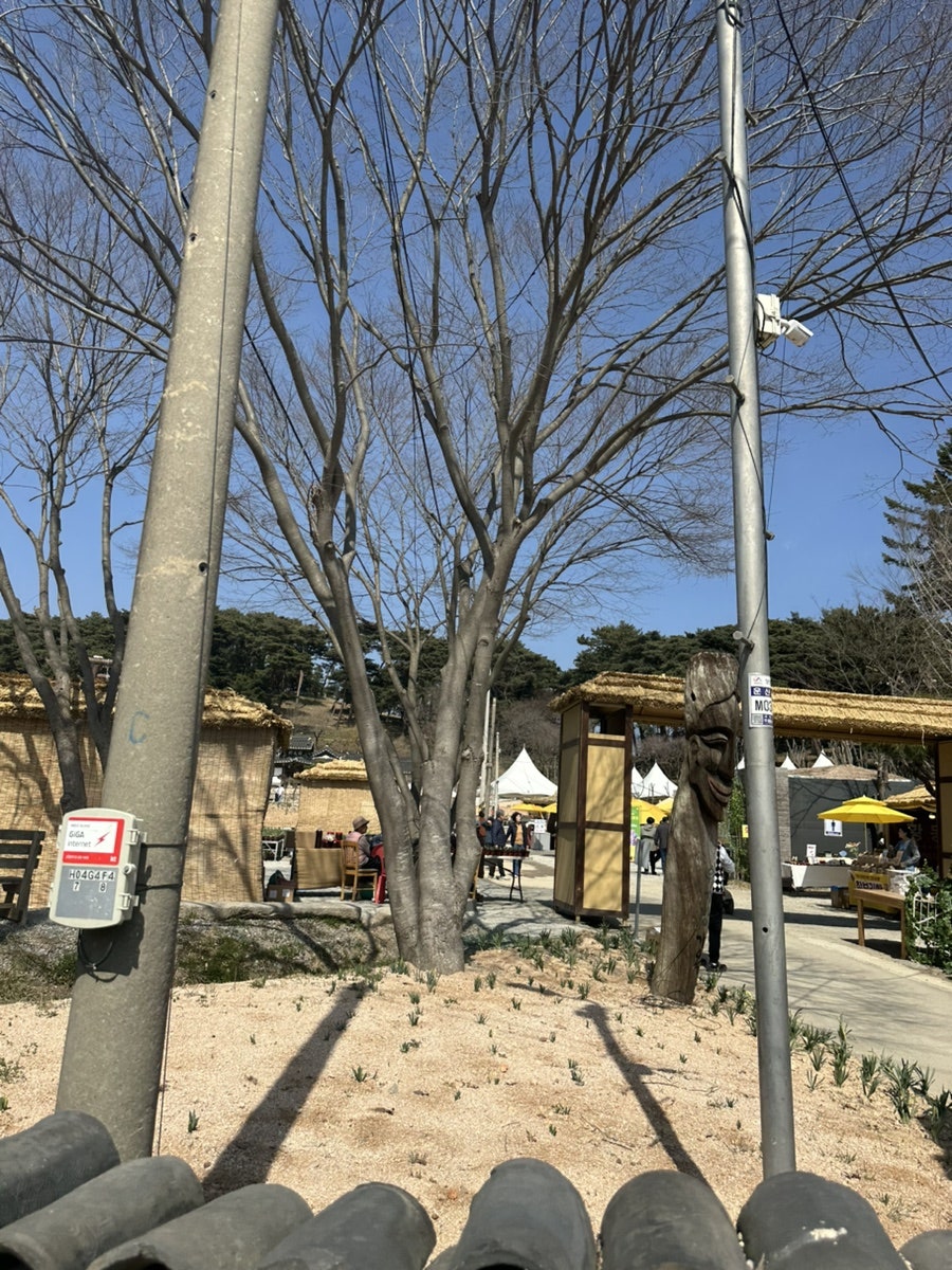 고향생각 사진 5