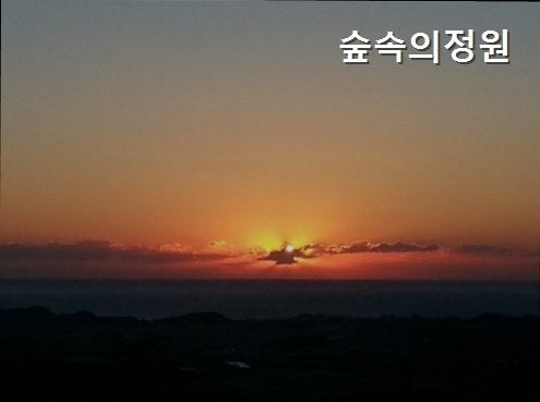 사진 4