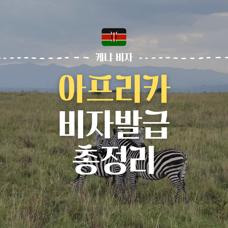  아프리카 여행 비자신청 총청리(남아공, 케냐, 니제르, 가봉)
