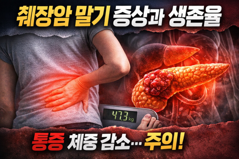 췌장암 말기증상과 생존율, 통증부터 체중 감소까지 한눈에