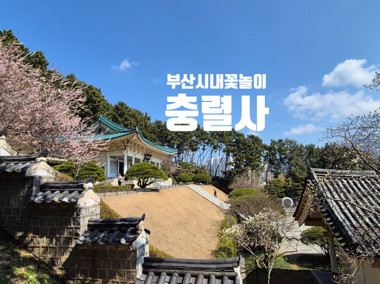부산 시내 산책과 꽃놀이 그리고 물멍하기 좋은 곳 충렬사