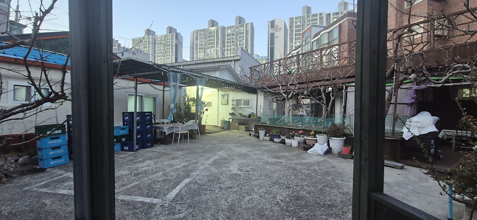 낙원조개오리 사진 2