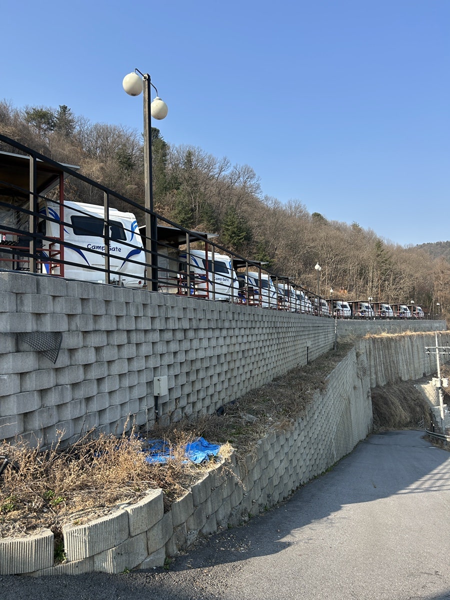 시장닭집 사진 2