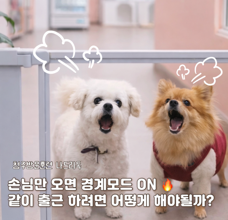 사진 2