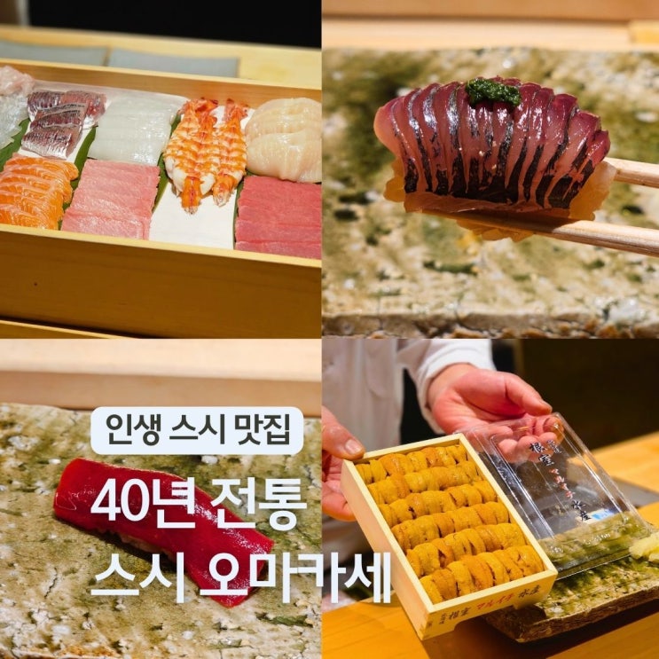  일본 도쿄 스시 오마카세 도쿄역 근처 현지인 맛집 40년 경력 시이나 예약 후기