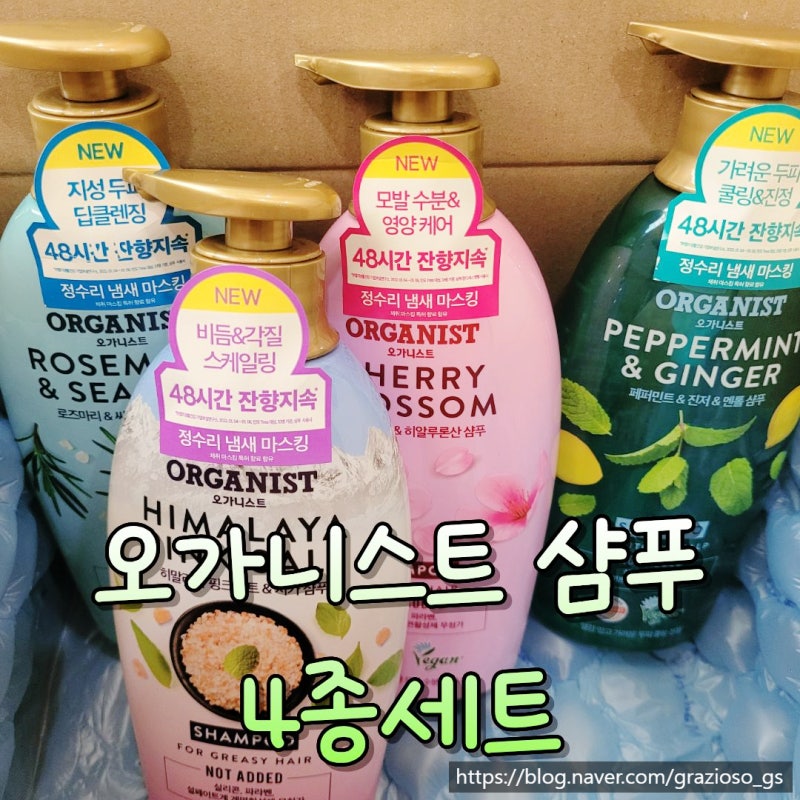 오가니스트 샴푸 4종 비교 후기 (체리블라썸/페퍼민트/로즈마리/핑크솔트) 솔직 리뷰