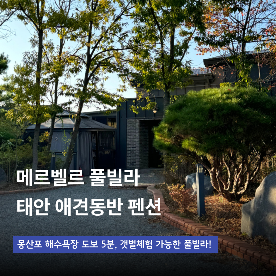 메르벨르풀빌라 사진 1