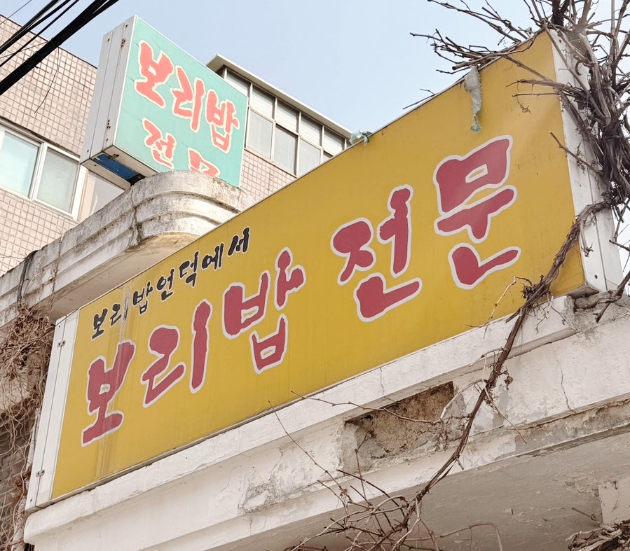 보리밥언덕에서 사진 2
