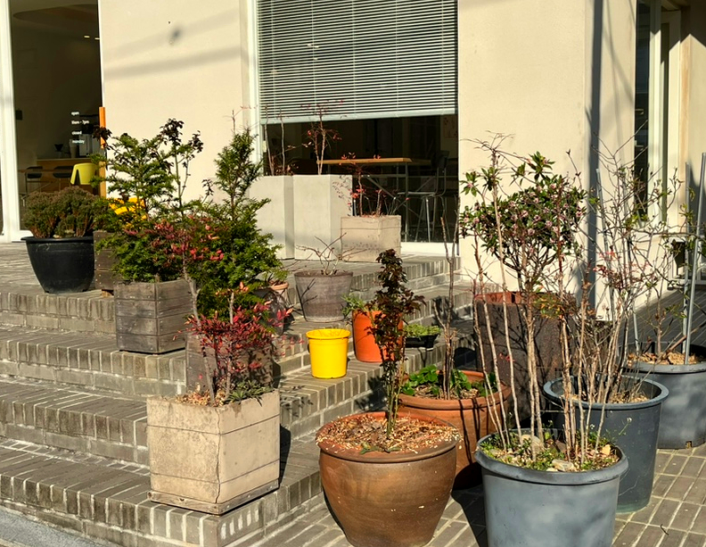 프루베 사진 4