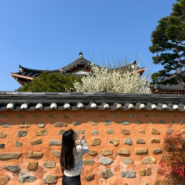  [가보기/경북 구미 왜관 칠곡] 경북 구미 왜관 칠곡 드라이브 대구 근교 가볼만한곳 구미새마을중앙시장 왜관시장 매원마을 구미새마을중앙시장주차(구미역후면주차장주차비)