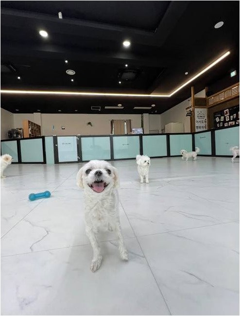 사진 2