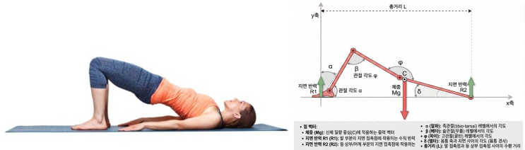  엉덩이만 들면 끝? - 고관절 전문의가 알려주는 브릿지 운동