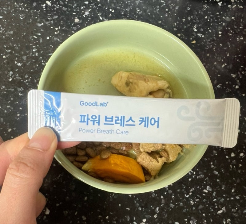 [내돈내산] 강아지 켁켁 소리_N번째 구매 중인 강아지 기관지 영양제 추천
