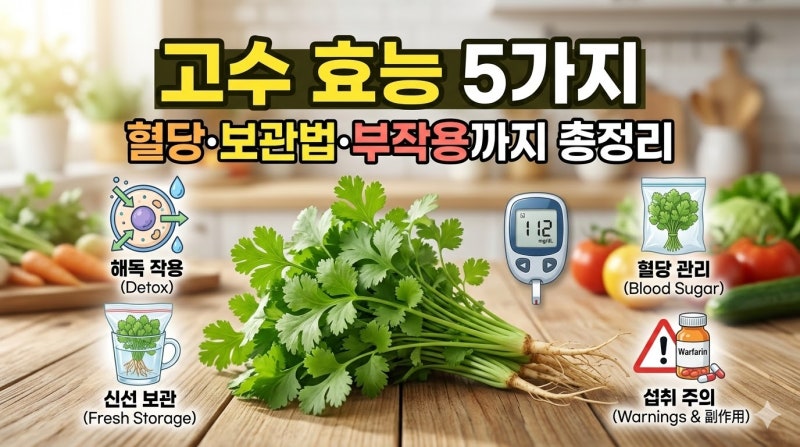 고수 효능 5가지, 혈당·보관법·부작용까지 총정리