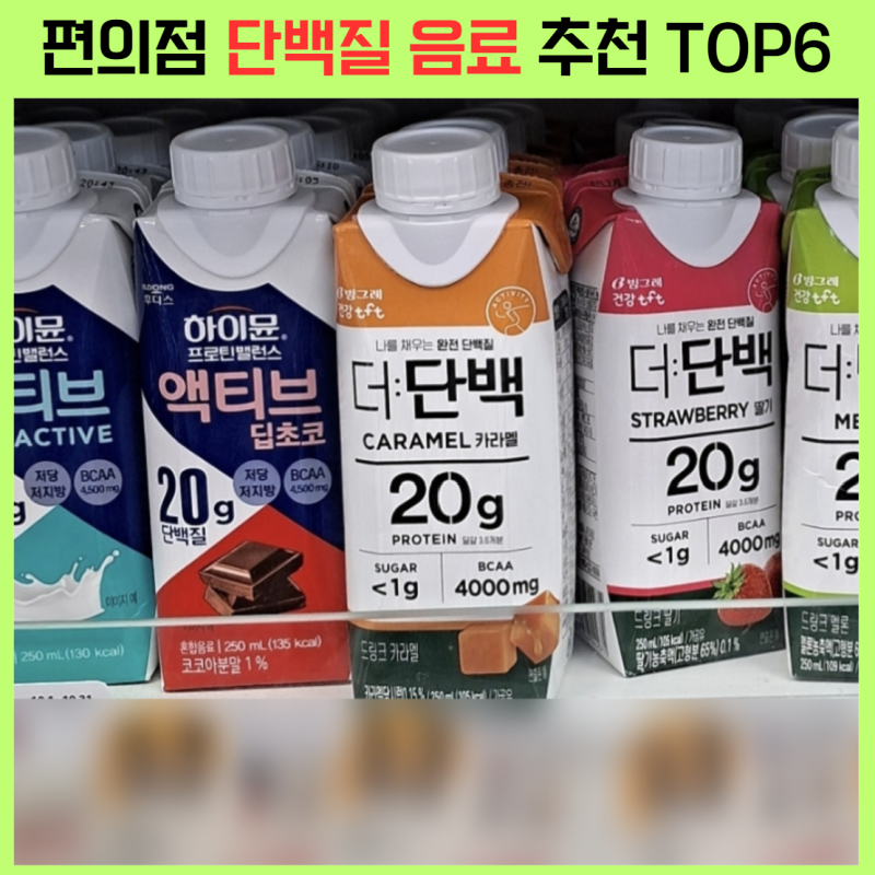 단백질 음료 추천 순위 BEST6｜헬스·다이어트용 프로틴 음료 정리