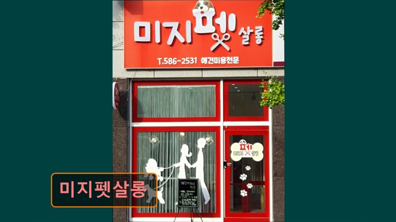 미지펫살롱