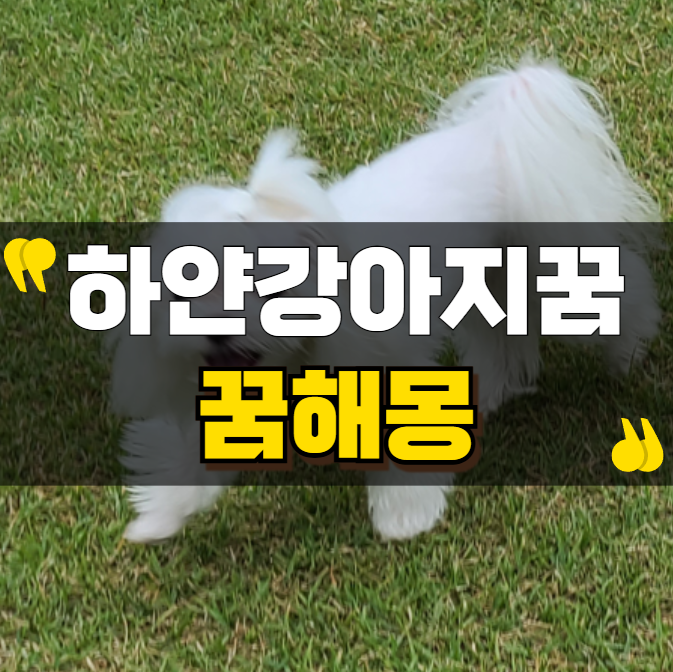하얀 강아지 꿈 해몽: 순수한 행운의 신호일까?
