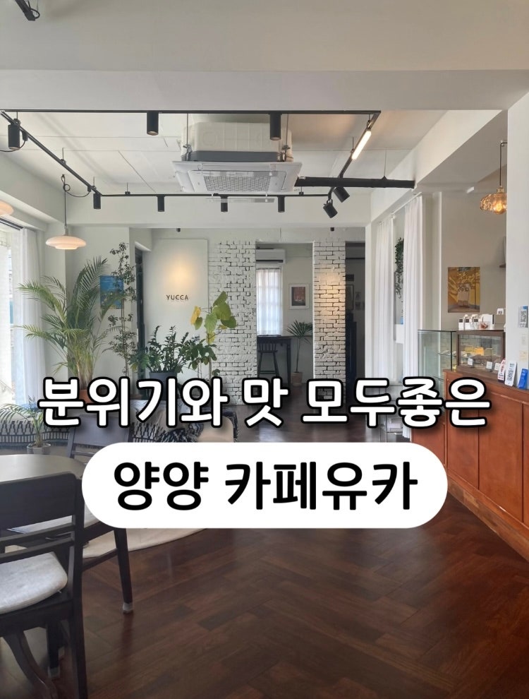 사진 3