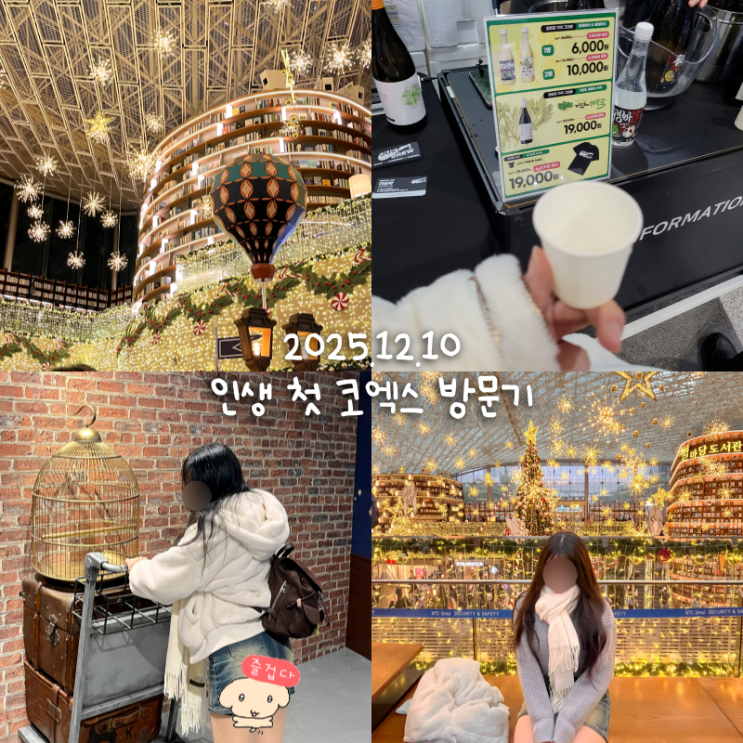  코엑스 처음 와봤어요 (별마당도서관, 현대미술 작가 데뷔함)