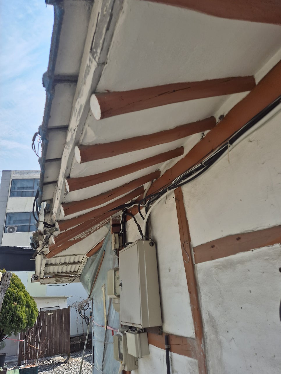 단풍나무집 사진 3