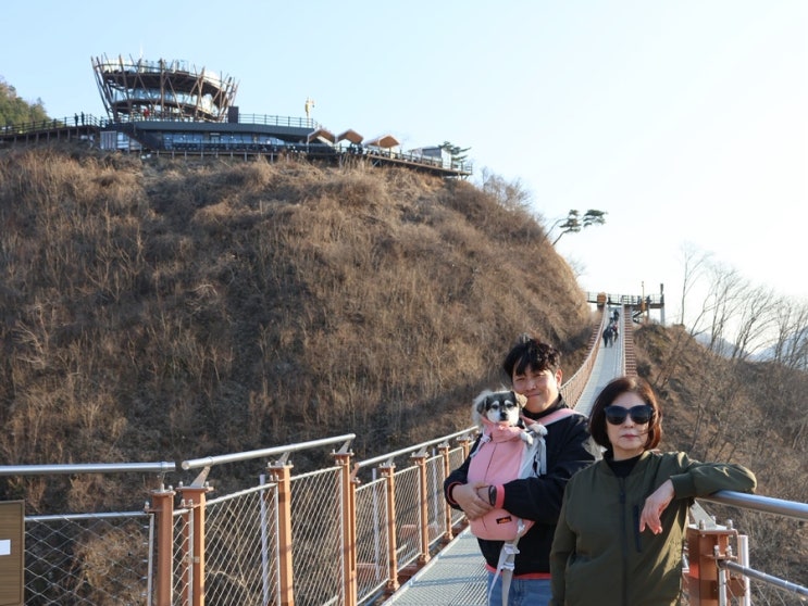 12살 강아지 주말일상 노견일상 그리고 엄빠의 효도주간