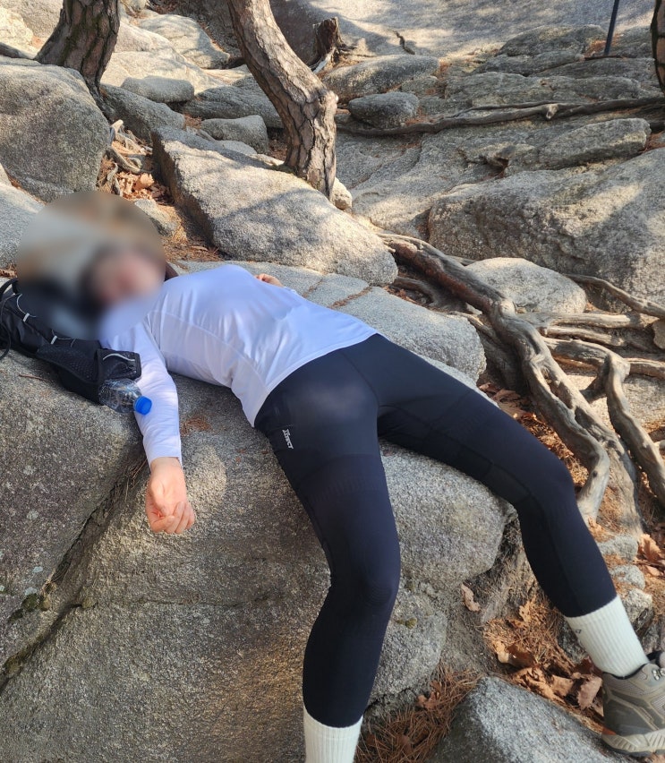  기능성 짐웨어 추천, 스포츠테이핑 무릎테이핑 필요없는 일체형 트레이닝바지