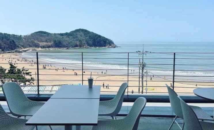  을왕리 애견동반 오션뷰 데이트 인생 노을 사진 건지는 법 강아지와 함께 떠나는 인천 나들이  카페 블랑 메뉴 추천