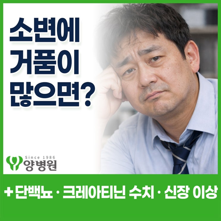 소변에 거품이 많으면, 단백뇨·크레아티닌 수치로 보는 신장 이상 신호