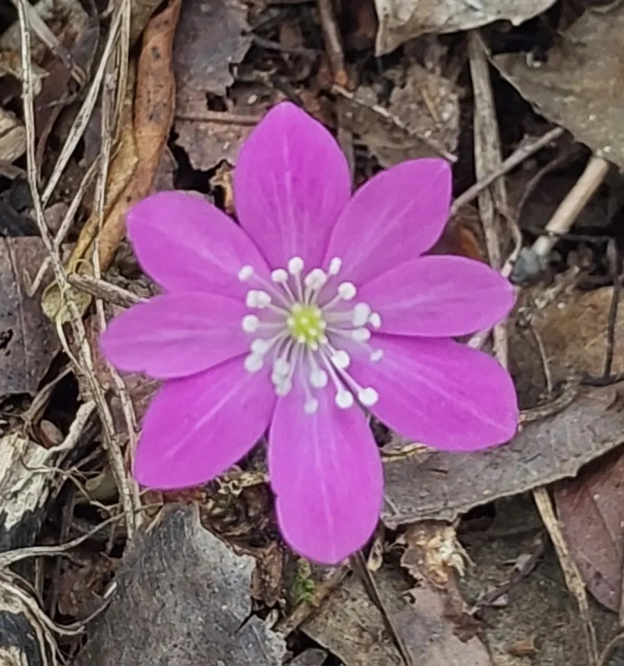 이륵골 사진 5