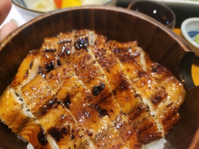 [서울/영등포] 여의도점심맛집 두툼한 장어가 있는 여의도장어덮밥 양산도 서여의도점