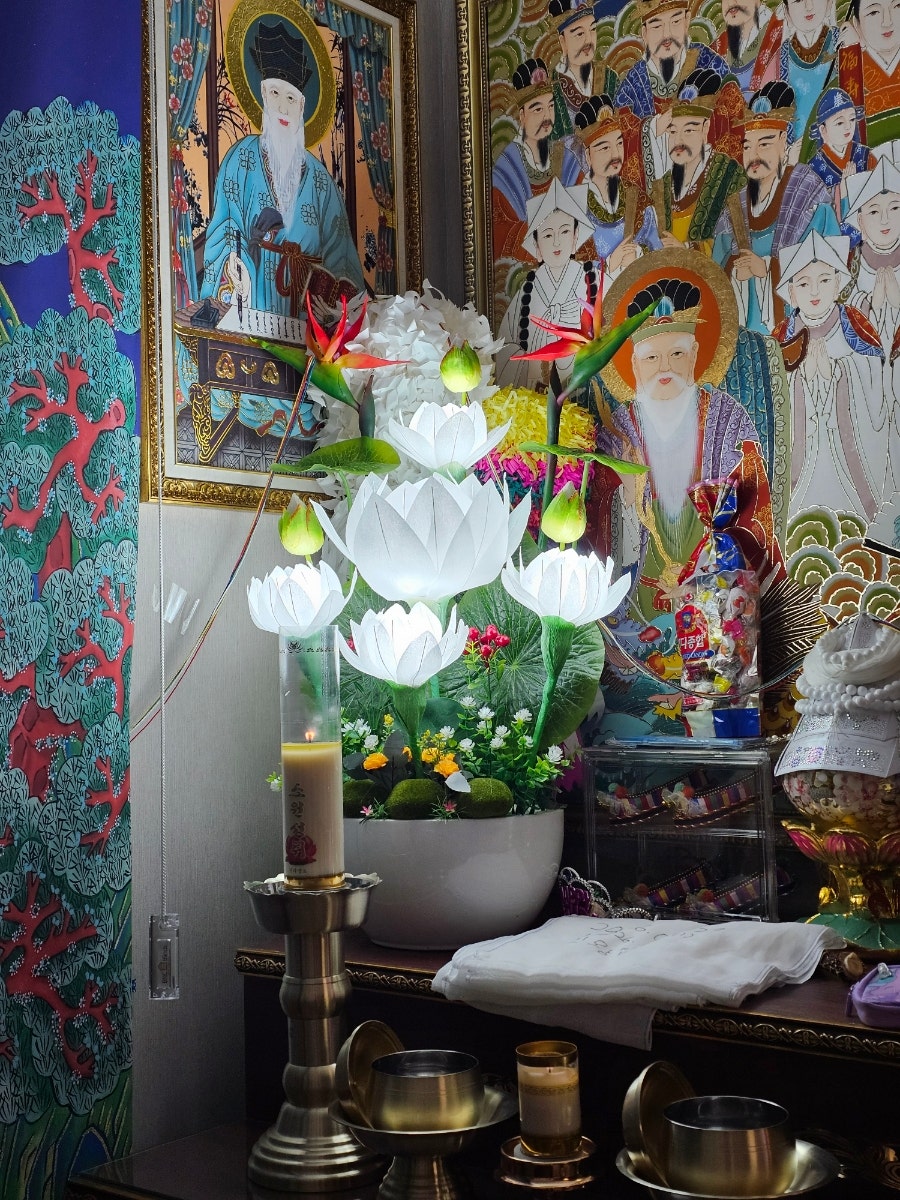 천궁 사진 6