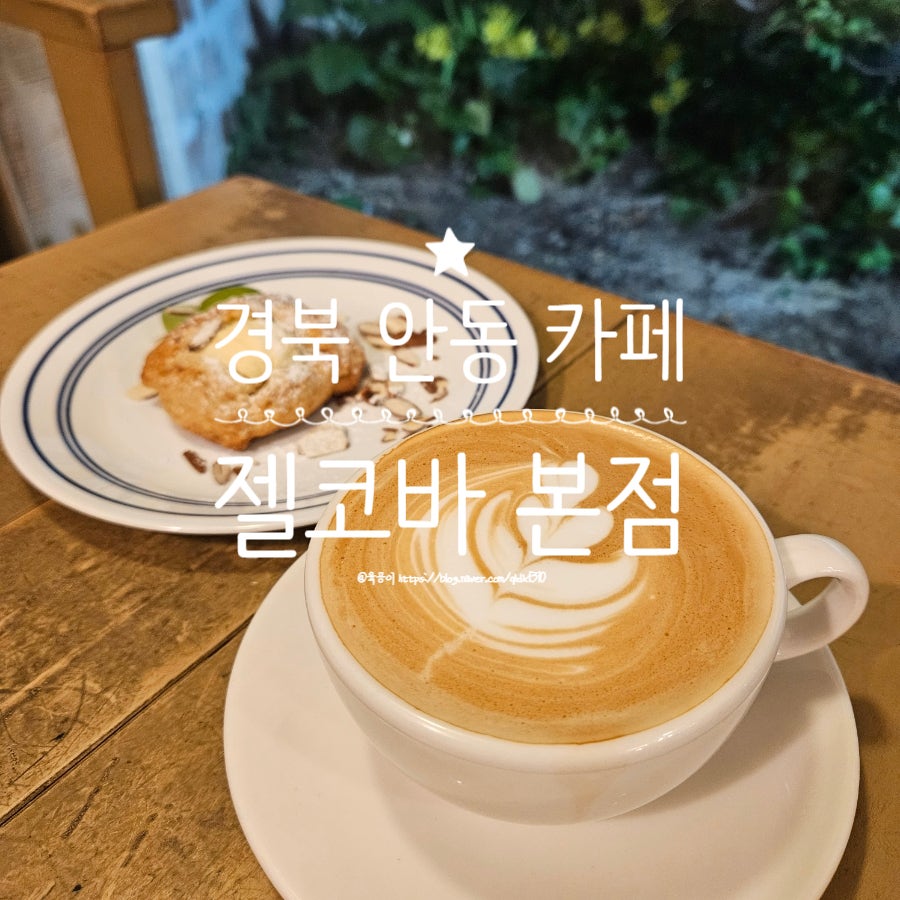 젤코바 본점 사진 1