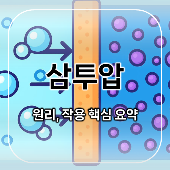  삼투압이란? | 삼투압 원리와 삼투압 작용 핵심 요약 정리