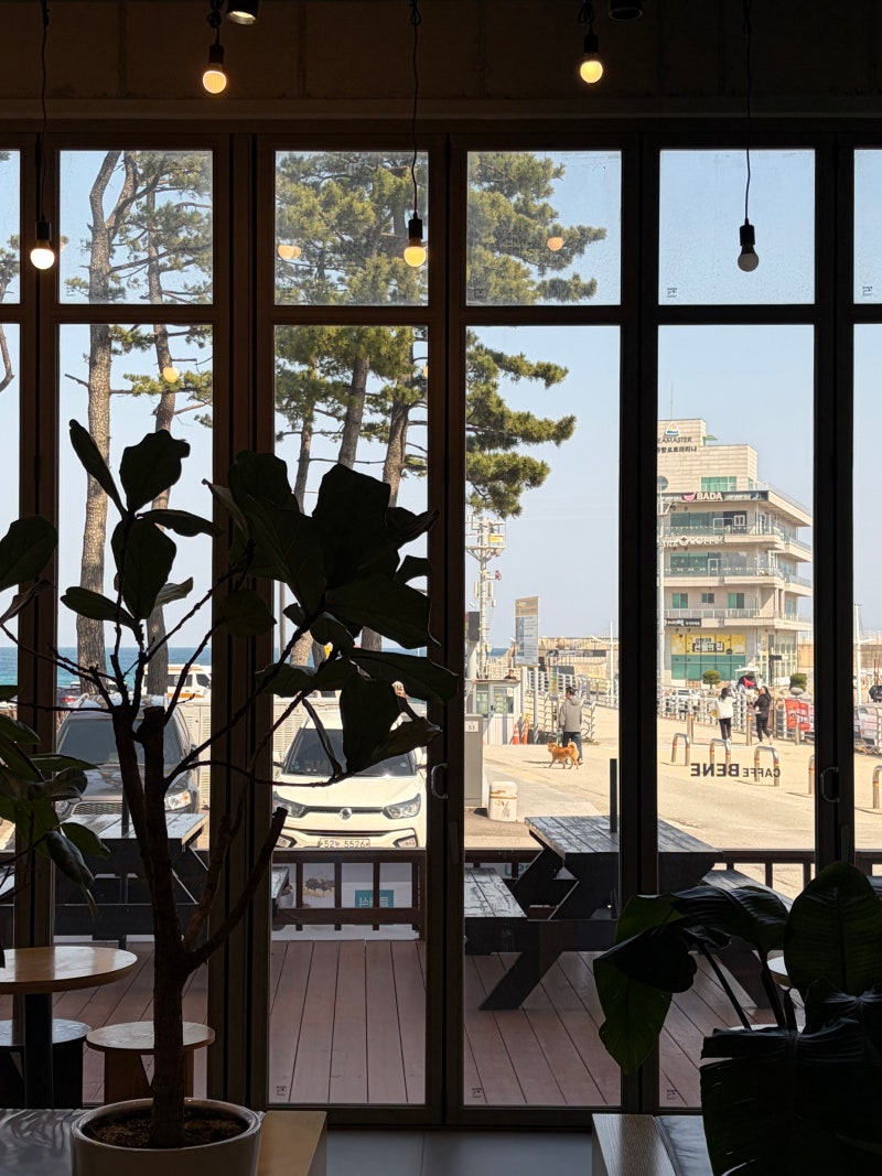 [일상] 강릉자동차운전전문학원-장롱면허, 초보운전 연수 추천