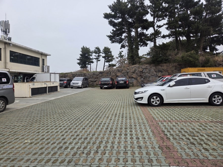 등촌샤브칼국수 제주점 사진 3