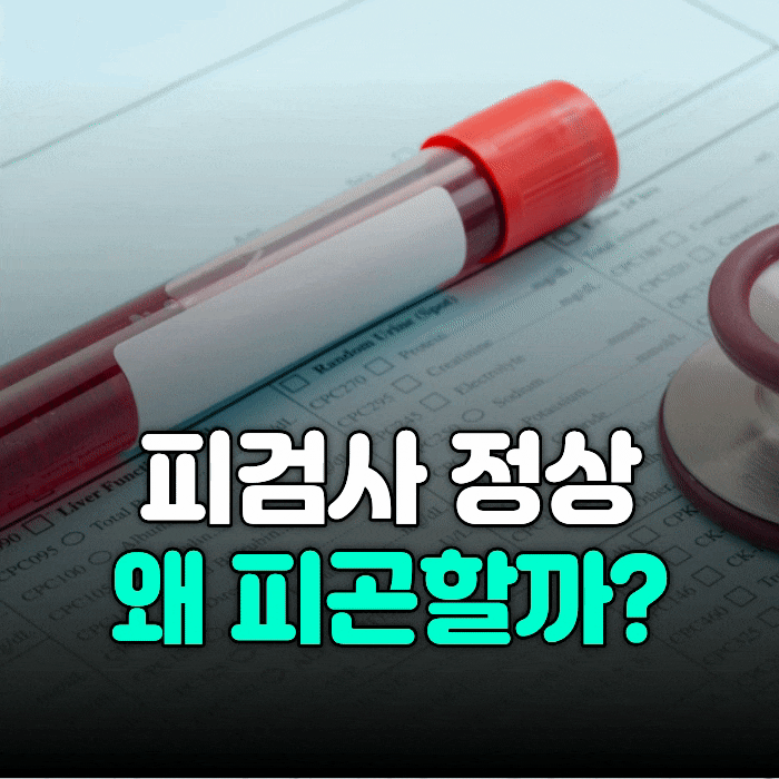수유 내과 피검사 항목, 결과 해석까지 한 번에 정리했습니다
